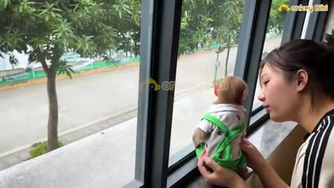 Super cute Bibi welcomed dad after many days of separation After hearing the news of dad's