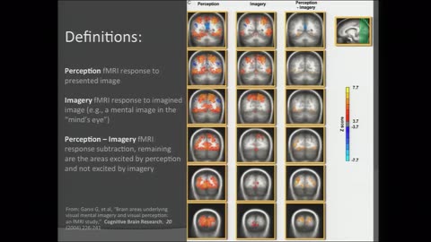 Mary Lou Jepsen on imaging the mind's eye 2012