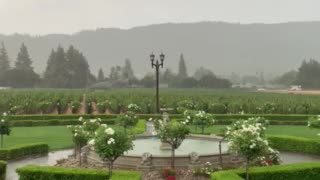 Ledson Winery in the rain