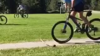 Bike crash slow mo