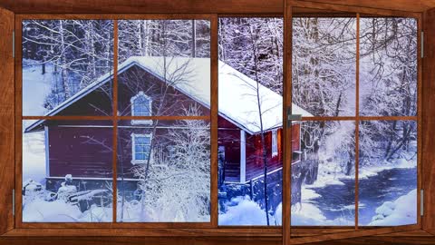 #WINDOW Winter Forest/ Relax/Sounds of nature.