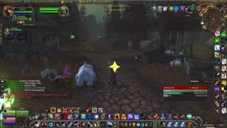 WoW Burning Crusade Hunter and Hunter (wife) with two pets