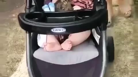 Kitten and baby are a very strong friendship