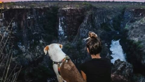 Woman Rescues A Dog In Africa And Travels The World With Her
