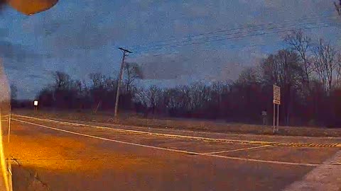 Tesla Side Camera Captures Deer Clipped by Car