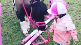 Baby Preciously Leads Pony Across Adorable Obstacle Course