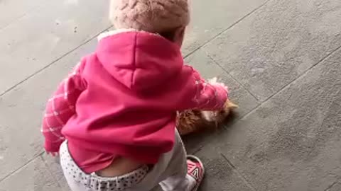 My daughter playing with new cat