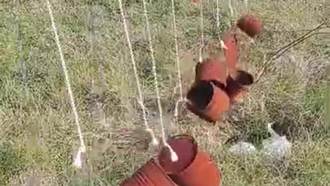 Old Utensils Hanged to Scare Animals in the Farms