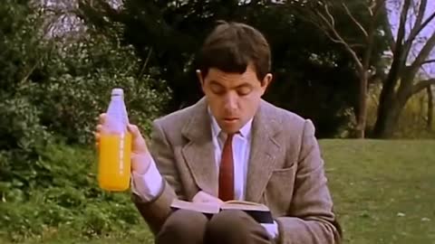 Mr. Bean went on a picnic alone