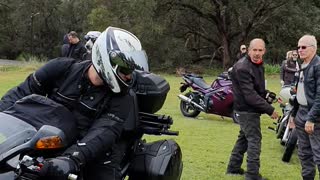 Cool biker terrier