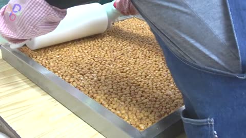 Traditional Korean Street Snacks. 'Guazel’ and ‘Oranda’ Making Process