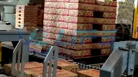 Robot palletizing system for cartons #packaing#robot#palletizer#foryou
