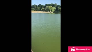 Lake covered in toxic green algae no fishing no swimming