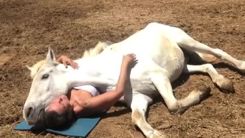 HORSE OBSESSED WITH HIS BESTFRIEND