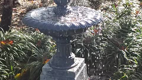 Slow Motion Fountain