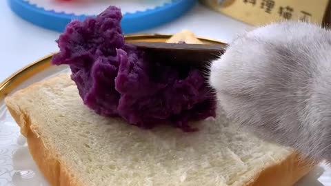 Kitten preparing sandwich for its owner
