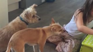 little girl dog training