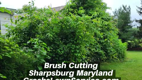 Brush Cutting Sharpsburg Maryland Landscape Company