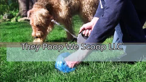 They Poop We Scoop LLC - (509) 223-4102