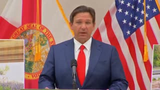 DeSantis Torches Congressional Republicans Over Their 'Real Failure' To Tackle Border Crisis