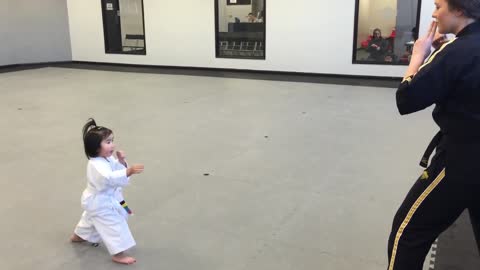 Three Year Old Taekwondo Master