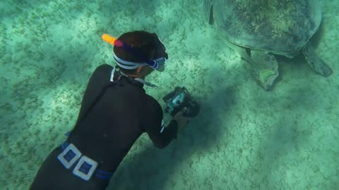 Slow motion of diver photographer shooting big sea turtle with underwater camera