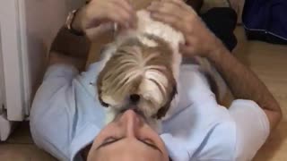 Dog greets dad after traveling