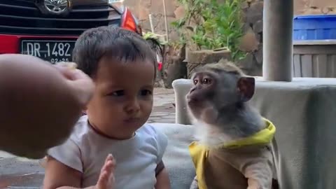 Cuteness Overload: Babies and Monkeys Make a Comedy Show!