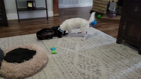 Quietest Playtime