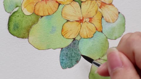 Painting master teaches you to draw nasturtium plants, the content is very suitable for learning