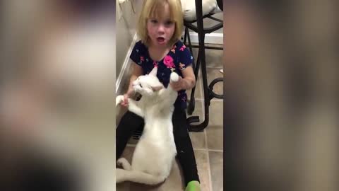 little babies and aggressive cats funny fight