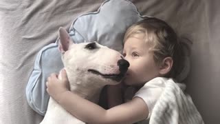 Dog and Boy Fall Asleep Together