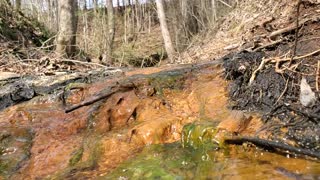 Water brook with water growth