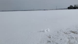 Strong Winds Form Snow Rollers