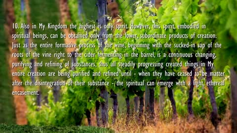 Jesus explains... The Kingdom of Heaven is like a Vineyard ❤️ Parable of Labourers in the Vineyard
