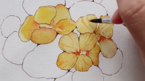 Watercolor painting tutorial: how to paint plants? nasturtium