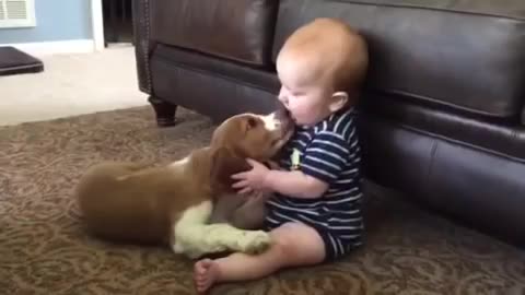 Baby Meets Puppy For The First Time !
