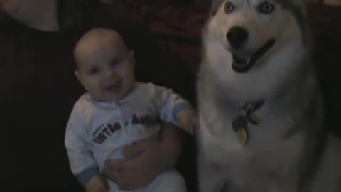 Cute Dog makes the Toddler Laugh