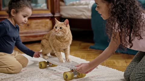 Kids Playing With Their Cat On