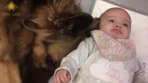 Nanny Dogs🐶👶Cute Dogs as Babysitter(Full) [Epic Life]