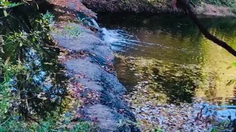 Fall in Texas🍁🍂🥀 Waterfalls😍