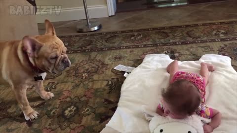 Adorable Puppy and Baby