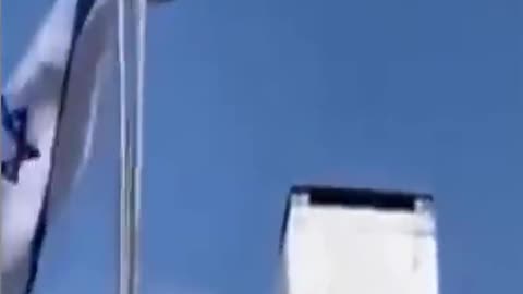 A bird hates Israel and flies an Israeli flag on the ground