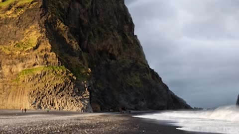 Sea-eagle with a fish flying over the black beach!