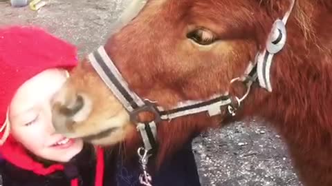 Miniature horse can't stop kissing kid