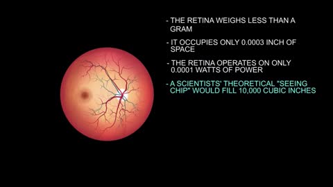 Unthinking natural processes couldn't make an eye