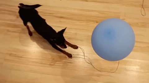 Thomas and the balloon