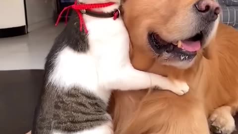 Cute friendship