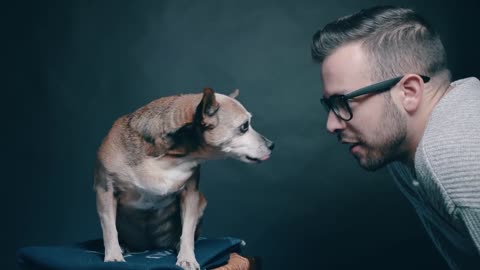 How this photographer captures the essence of a dog (2021)