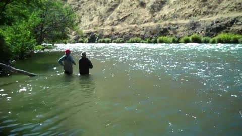 Catching Wild Steelhead Trout